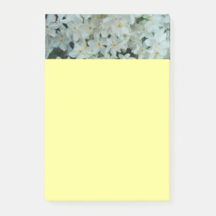 Bloco De Notas Paperwhite Narcissus Delicate White Flowers