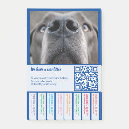 Bloco De Notas Para vender cachorros Dane coloridos
