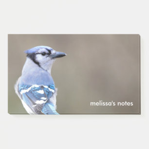 Bloco De Notas Passarinho azul de jay em Treestump