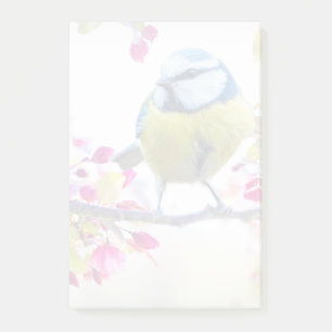 Bloco De Notas Pássaro Azul e Amarelo bonito em uma Fotografia d