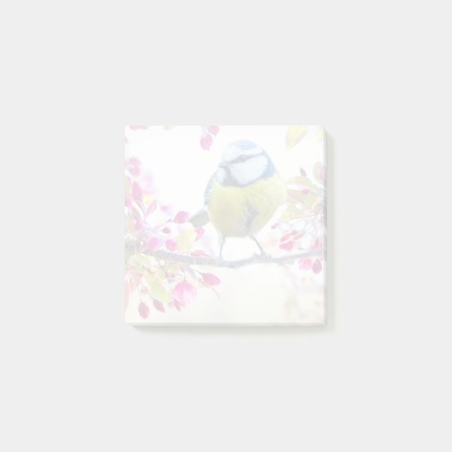 Bloco De Notas Pássaro Azul e Amarelo bonito em uma Fotografia de (Frente)