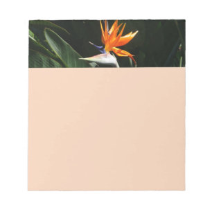 Bloco De Notas Pássaro da Flor Tropical Laranja do Paraíso