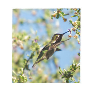 Bloco De Notas Pássaro Humming