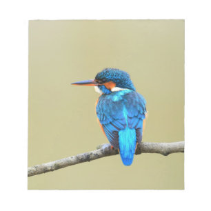 Bloco De Notas Pássaro Kingfisher Azul