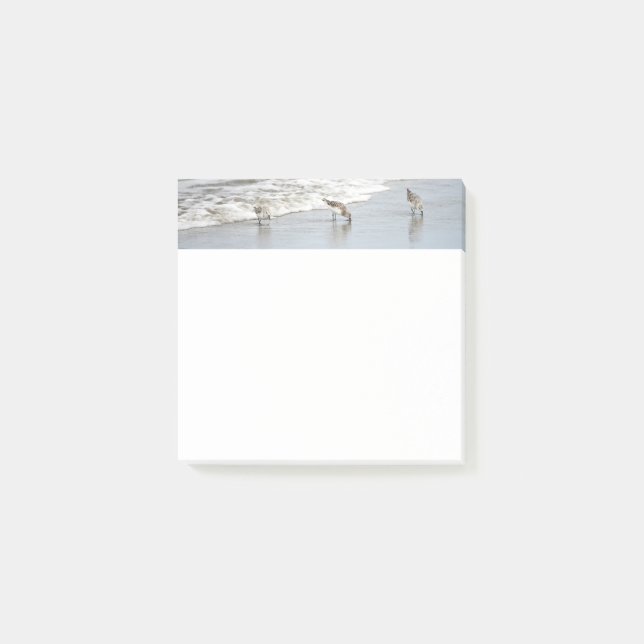 Bloco De Notas Pássaros de Praia nas Notas do Surf 3x3 (Frente)