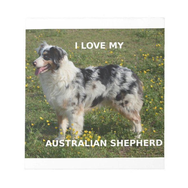 Bloco De Notas pastor australiano azul merle love w pic (Frente)