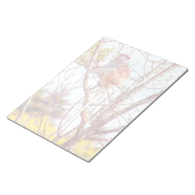 Bloco De Notas Patas é uma árvore (Inclinado)