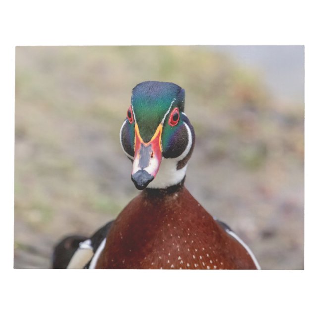 Bloco De Notas Pato de Madeira (Frente)