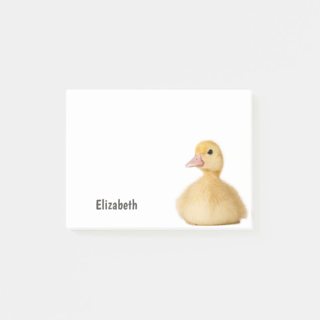 Bloco De Notas Pato Fofo Nome Personalizado (Frente)