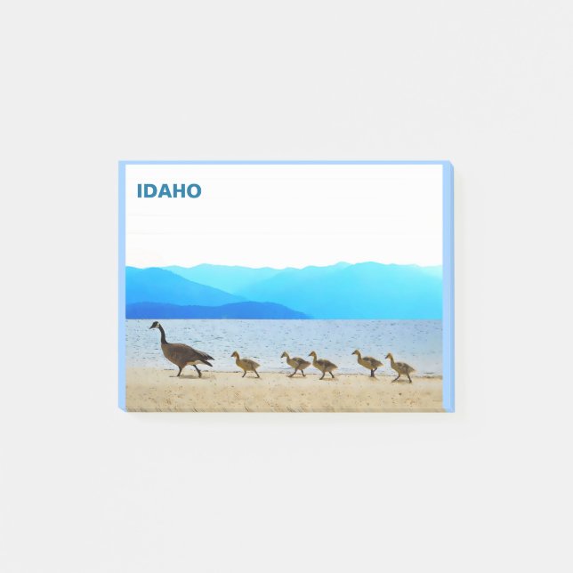 Bloco De Notas Patrulha de Shore - Canadá Geese (Frente)