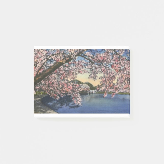 Bloco De Notas PAU43 Basin.tif maré (Frente)