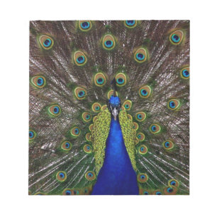 Bloco De Notas Peacock