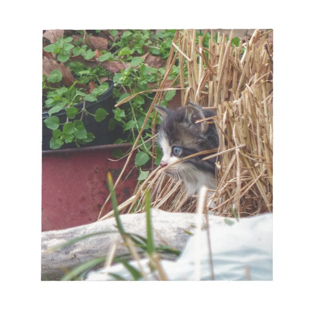 Bloco De Notas Peek-a-Boo (Frente)