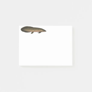 Bloco De Notas Peixe-pulmão australiano