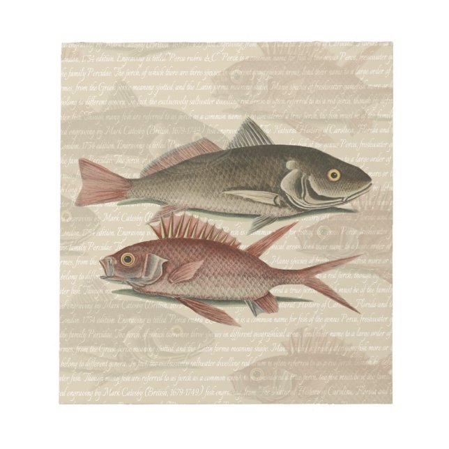 Bloco De Notas Peixe Red Perch Pescador Art (Frente)