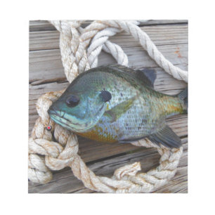 Bloco De Notas Peixes-Bluegill nas docas e cordas