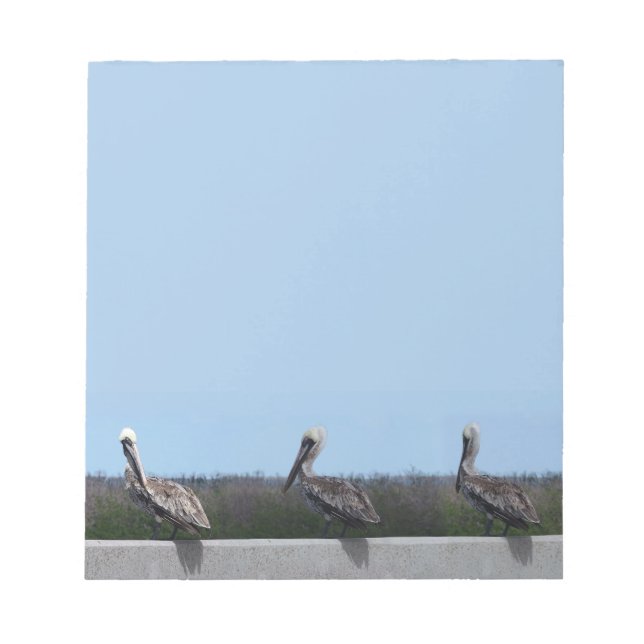 Bloco De Notas Pelicanos (Frente)