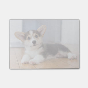 Bloco De Notas Pembroke Welsh Corgi