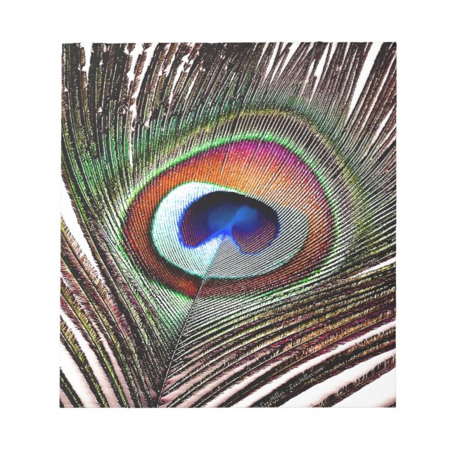 Bloco De Notas Pena Colorida de Pavão de Cobre (Frente)