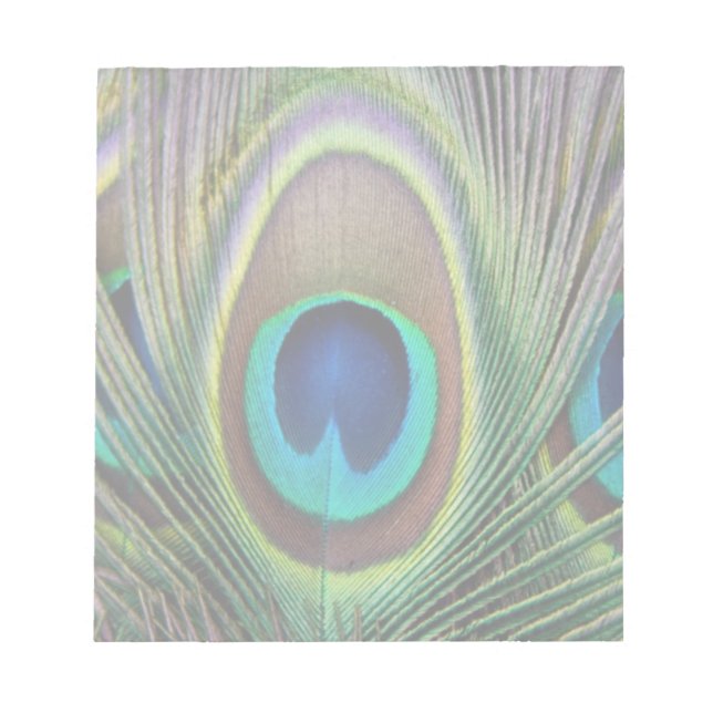 Bloco De Notas Pena de Peacock (Frente)