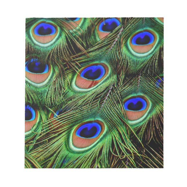 Bloco De Notas Penas de Peacock (Frente)