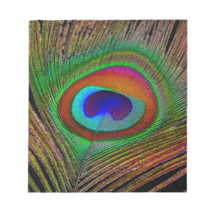 Bloco De Notas Penas de Peacock de Cobre Vibrantes
