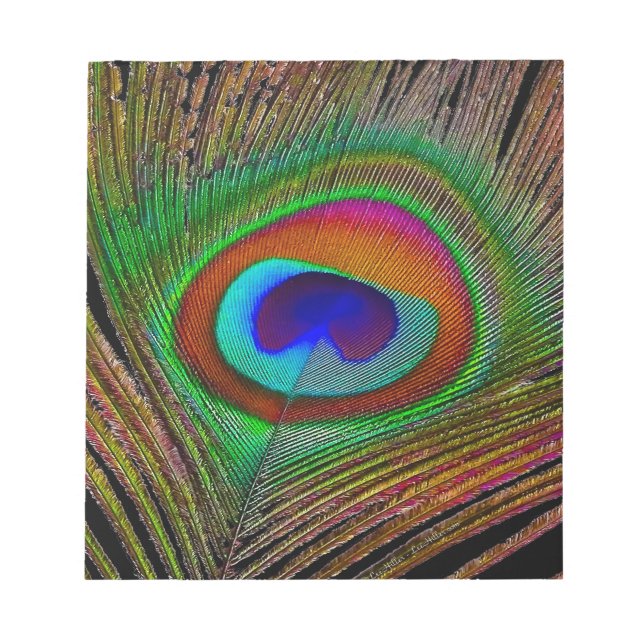 Bloco De Notas Penas de Peacock de Cobre Vibrantes (Frente)