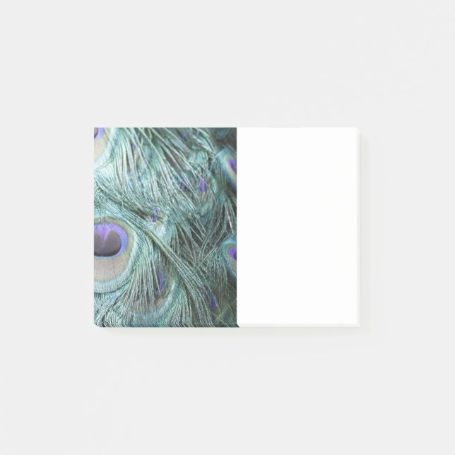 Bloco De Notas penas do pavão (Frente)