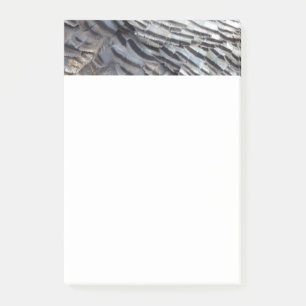 Bloco De Notas Penas Turcas Selvagens II Abstrato Nature Design