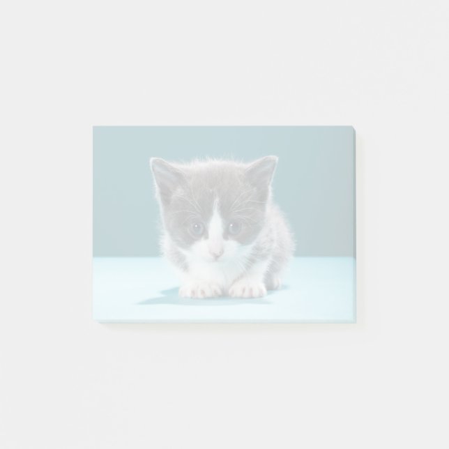 Bloco De Notas Pequena Gatinha (Frente)