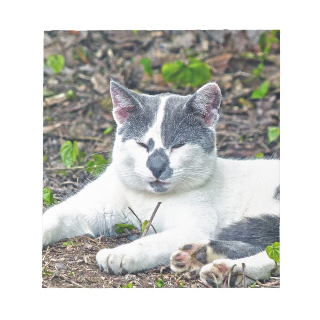 Bloco De Notas Pequeno Mister Pants (Frente)