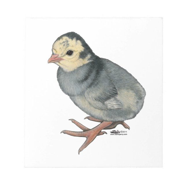 Bloco De Notas Peru Poult Azul Ardósia (Frente)