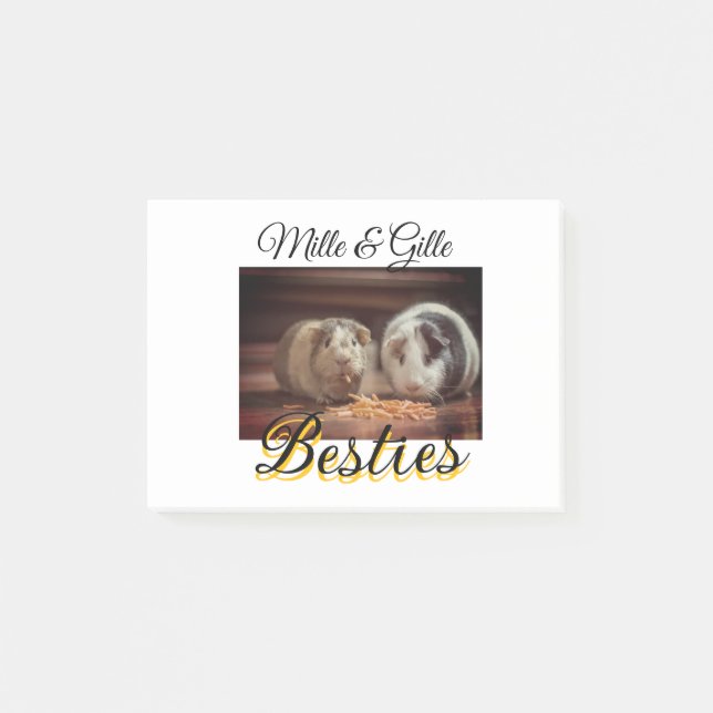 Bloco De Notas Pet Frities adiciona nome e foto animal amor (Frente)