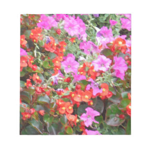 Bloco De Notas Petúnia rosa e gerânios vermelhos