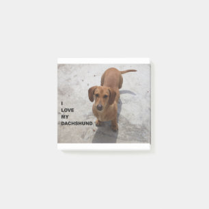 Bloco De Notas PIC completo vermelho de w do amor do dachshund