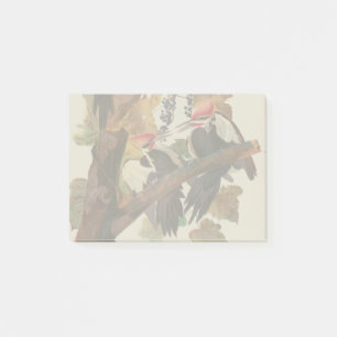 Bloco De Notas Pica-Pica-Pica-Pica Audubon Pileada