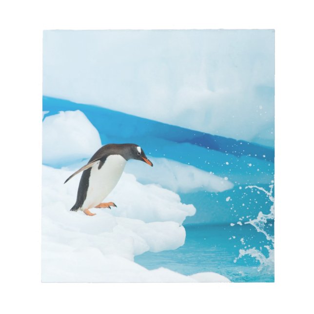 Bloco De Notas pinguim-de-gentoo, Pygoscelis Papua, saltando (Frente)