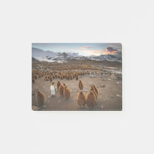 Bloco De Notas Pinguins ao Pôr do Sol