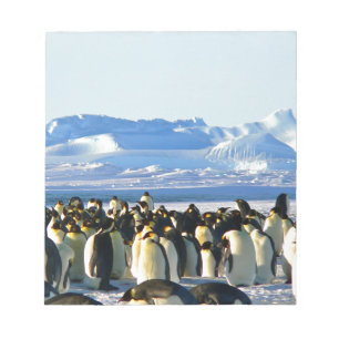 Bloco De Notas Pinguins imperadores