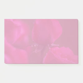 Bloco De Notas Pink Roses with Dew