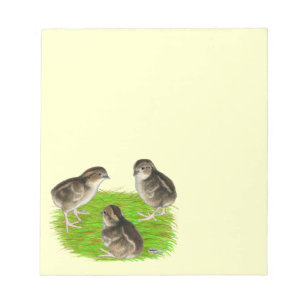 Bloco De Notas Pintinhos Bobwhite Quail