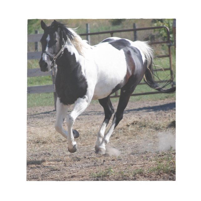 Bloco De Notas Pinto Paint Horse (Frente)