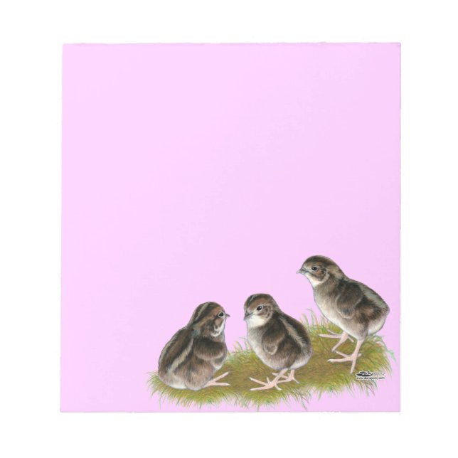 Bloco De Notas Pintos de Codorniz Coturnix (Frente)