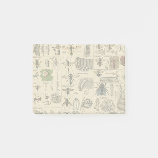 Bloco De Notas Pintura De Abelhas Insetos Insetos Vaza Natureza N (Frente)