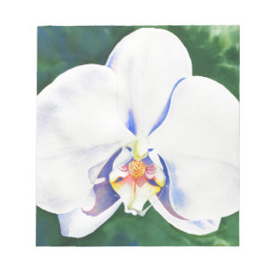 Bloco De Notas Pintura de orquídea branca e elegante