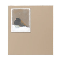 Pintura Junco De Olhos Escuros - Arte De Pássaro O