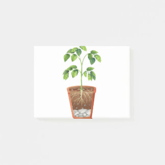 Bloco De Notas Planta em pote