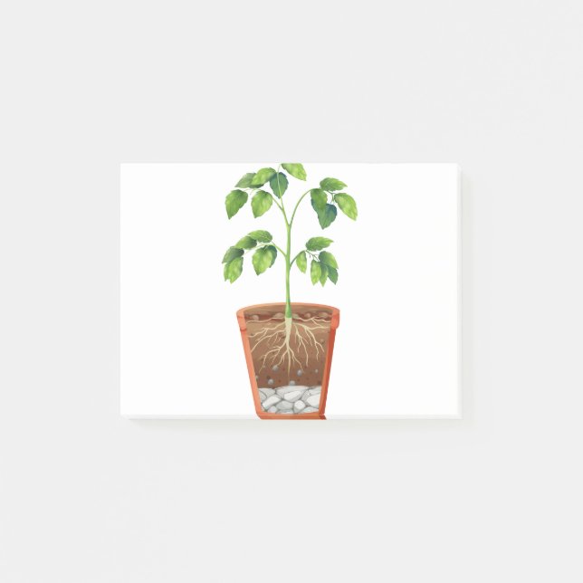 Bloco De Notas Planta em pote (Frente)