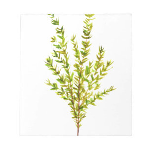 Bloco De Notas Plantas aromáticas por tomilho