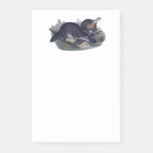 Bloco De Notas Platypus em uma ilustração do registro